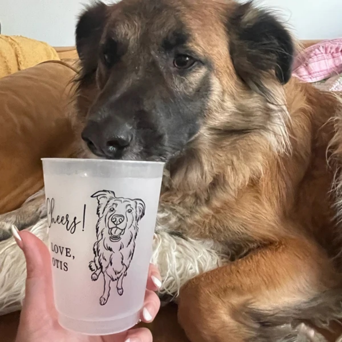 10/50 Gepersonaliseerde boerde - Plastic Cup 50Pcs recensie en prijs