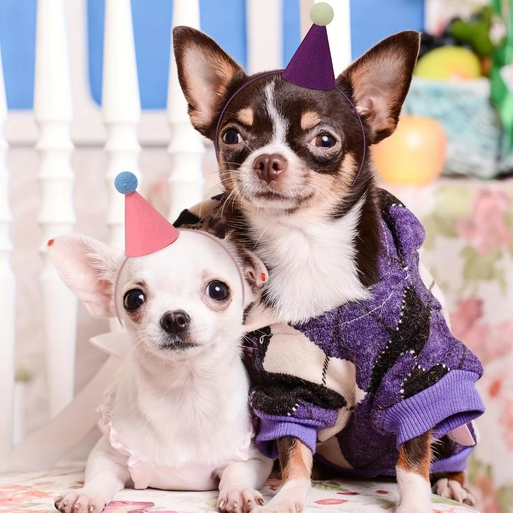 Herbruikbare 6-delige set mini - Party Hat Cone recensie en prijs